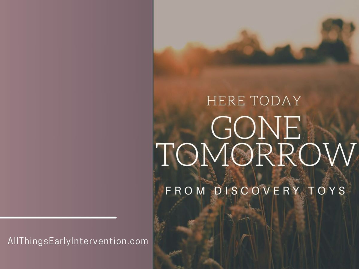 Here Today Gone Tomorrow, Discovery Toys Products