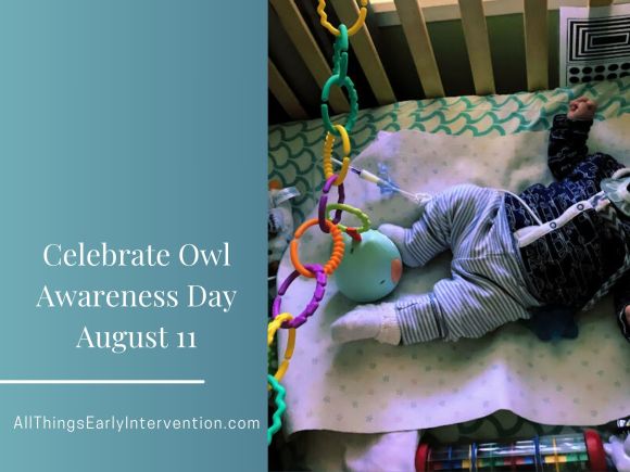 Owl Awareness Day Is August&nbsp;11