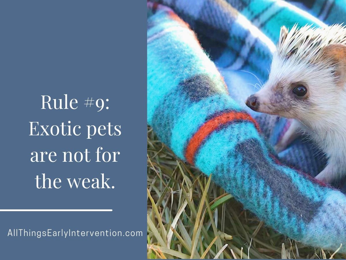 Rule 9:  Be aware that exotic pets are out&nbsp;there.