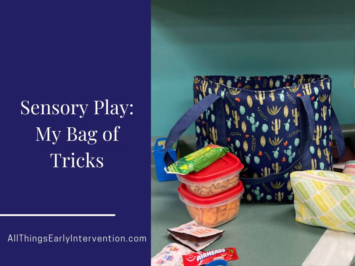 DIY Bag of Tricks for Sensory&nbsp;Input