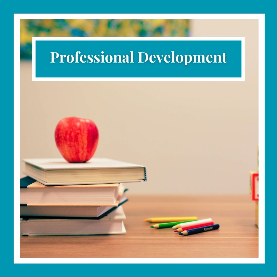 Professional Development Infants and Toddlers