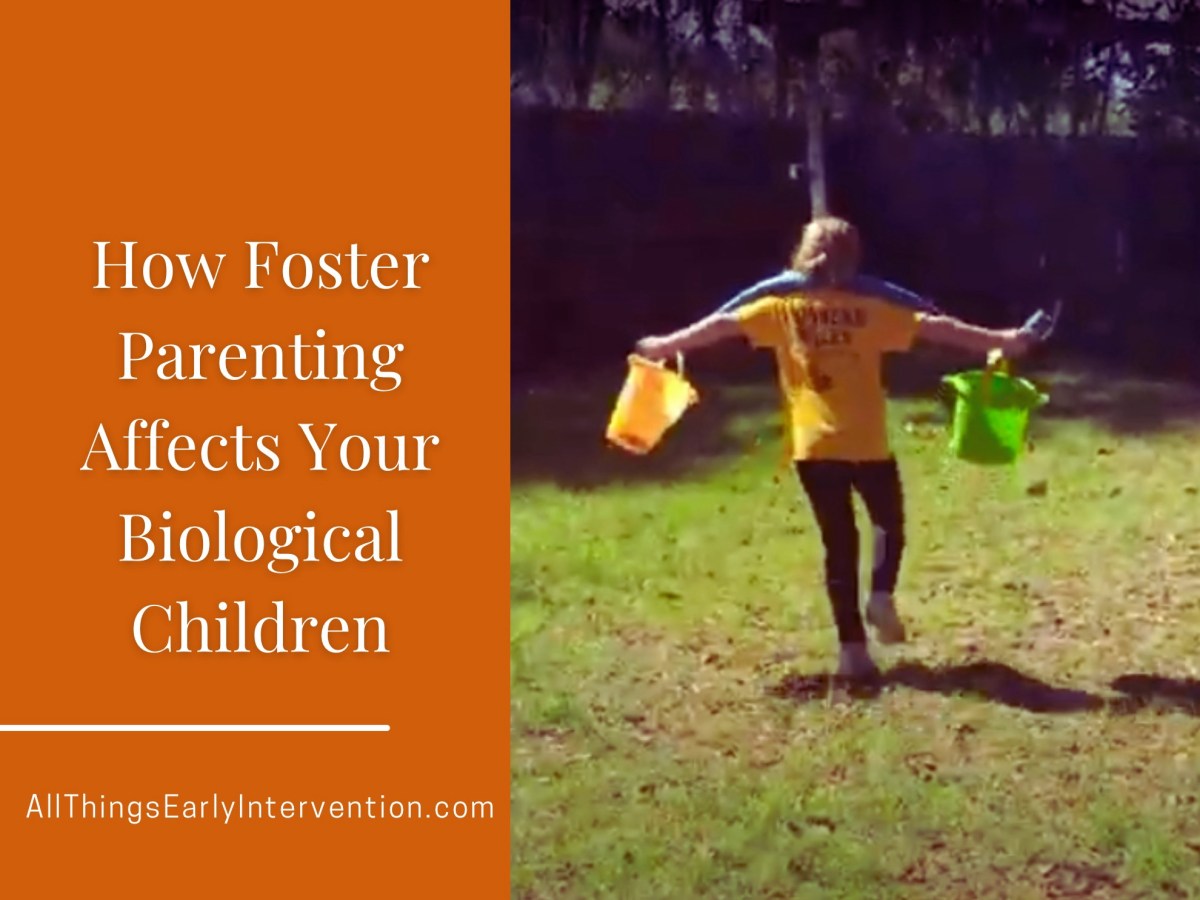 Balancing the Needs of Biological and Foster&nbsp;Children