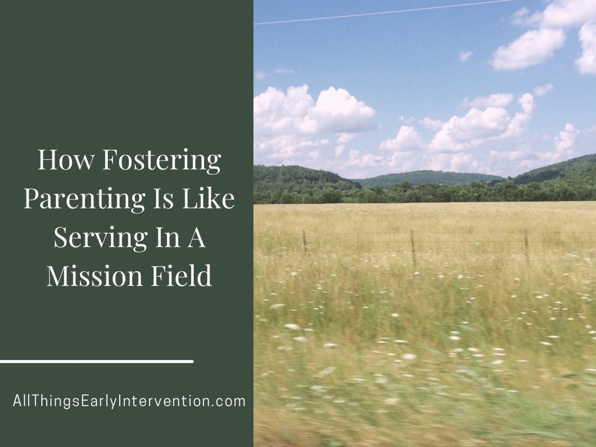 Fostering Parenting Is Its Own Foreign Mission&nbsp;Field