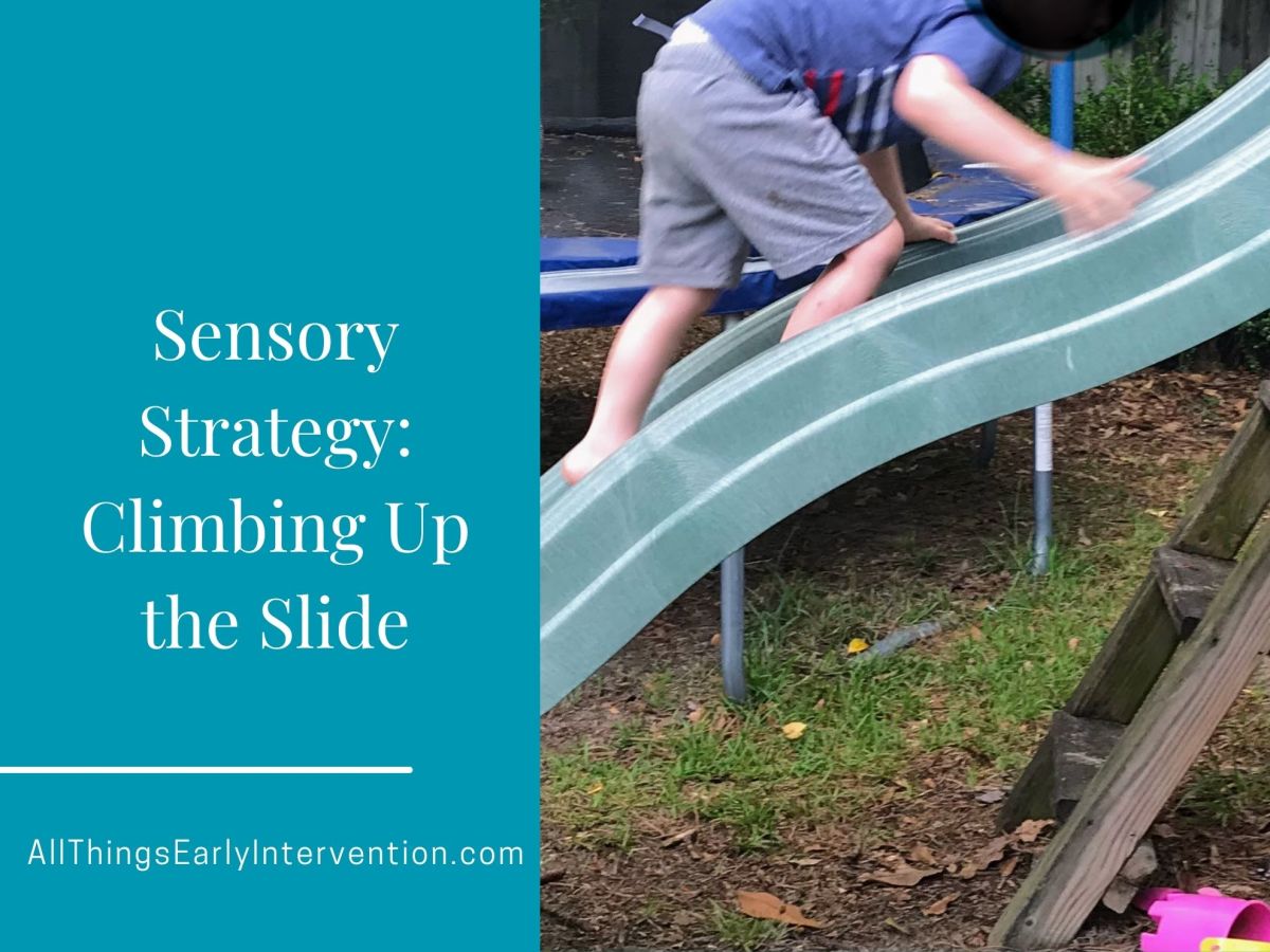 Sensory Strategy: Climbing Up The&nbsp;Slide