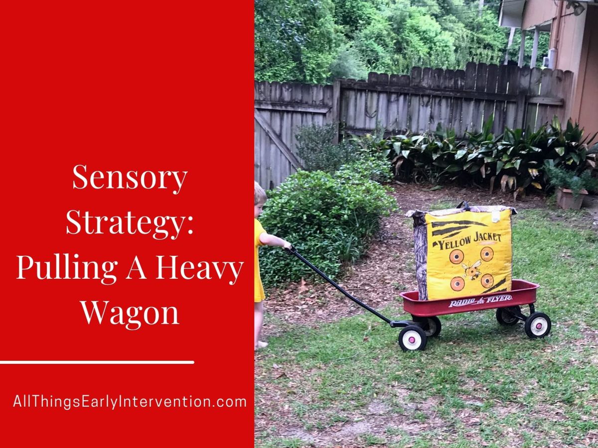 Sensory Strategy: Pulling A Heavy&nbsp;Wagon